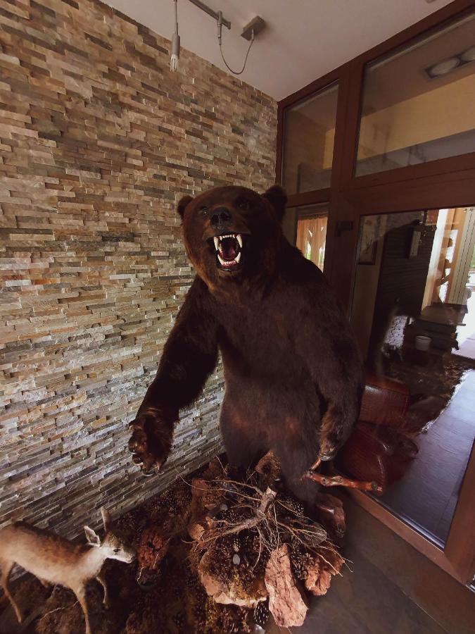 Hotel Belvedere Szováta Kültér fotó