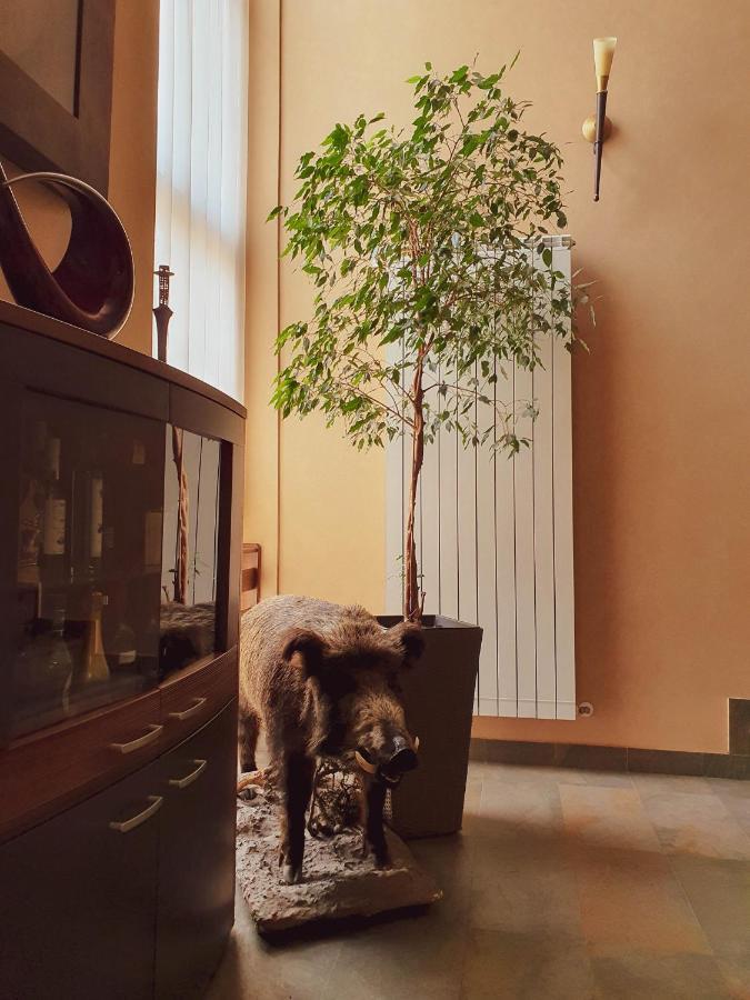 Hotel Belvedere Szováta Kültér fotó